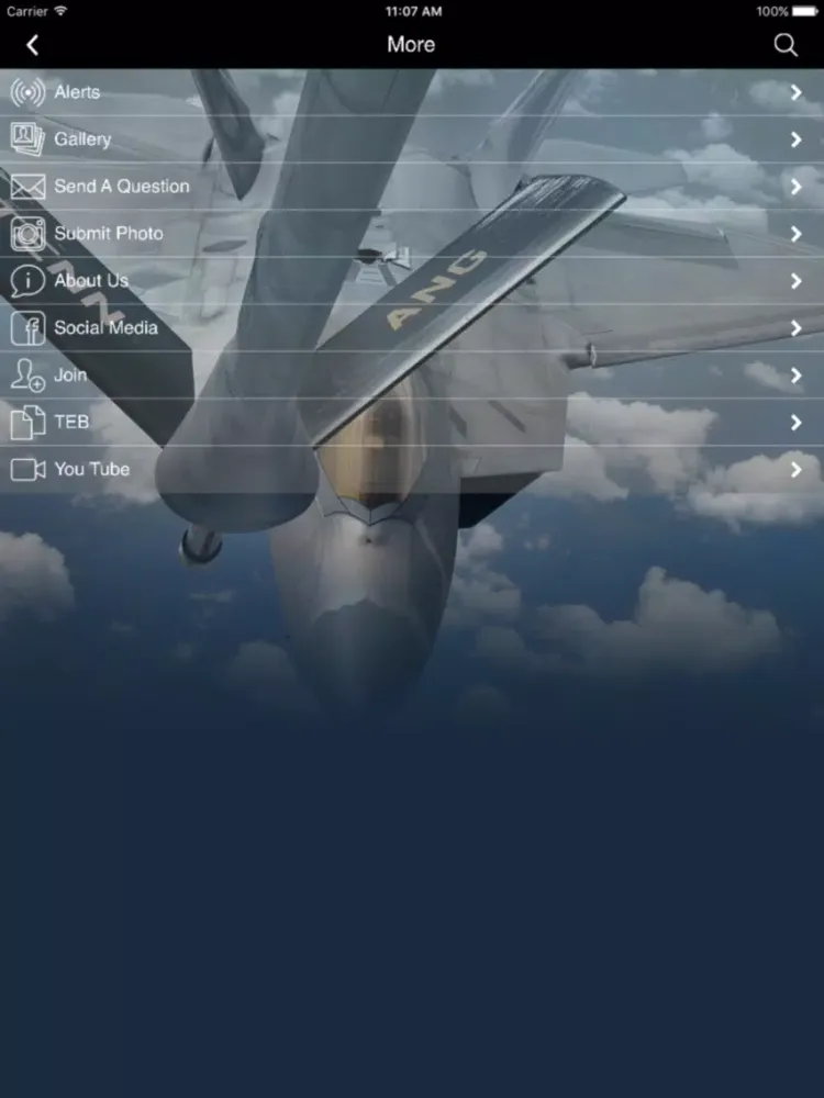 Captures d'écran de Tennessee Air National Guard iPad 