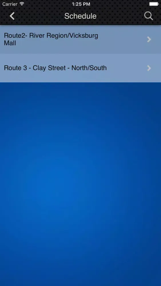 Vicksburg Transit スクリーンショット