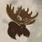 MooseMapp - Sightings & Alerts