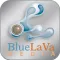 BlueLaVaMedia