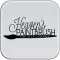 Heaven's Paintbrush Photography