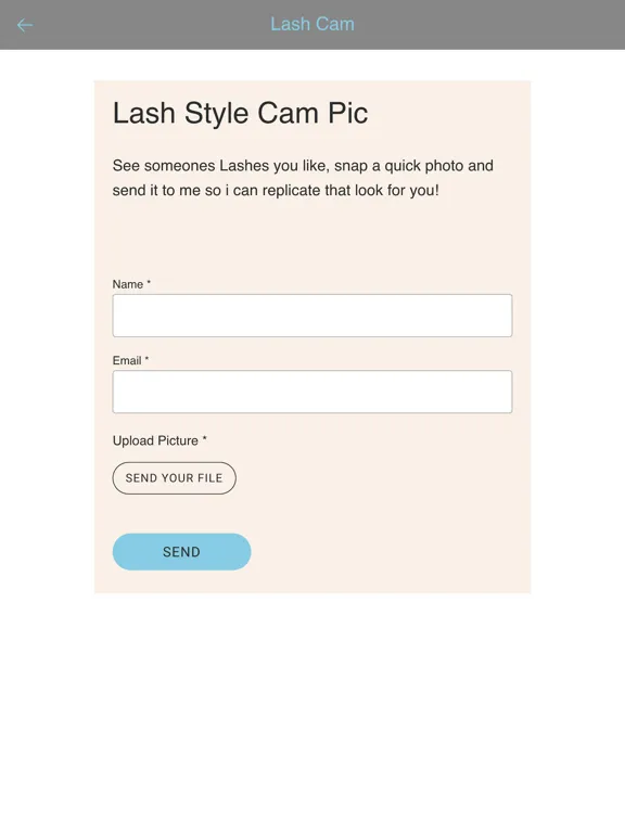 Tangkapan layar DLashes iPad 