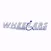 Wheelers Accessible Van Rentals