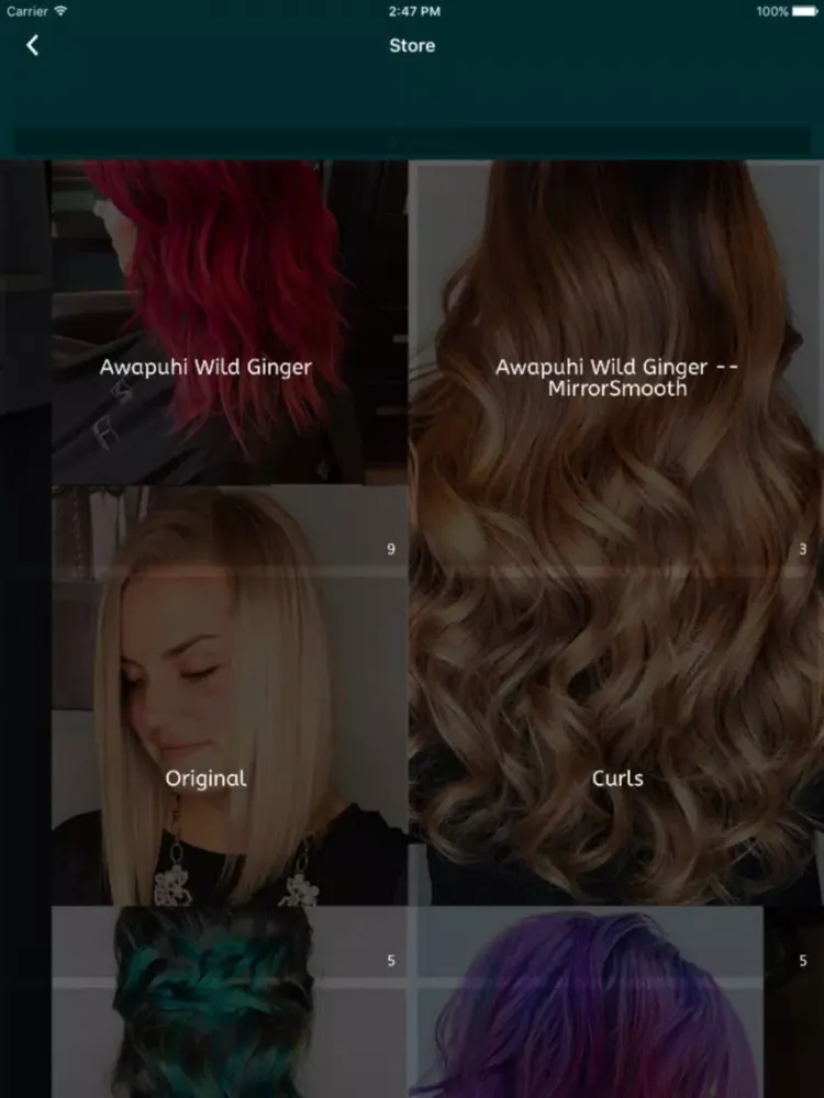 Ảnh chụp màn hình của Launch Salon iPad 