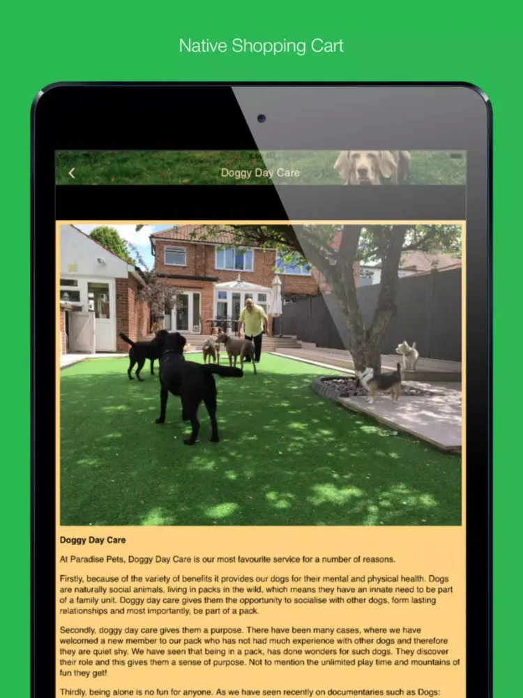 تصاویر Paradise Pets & Homes iPad 