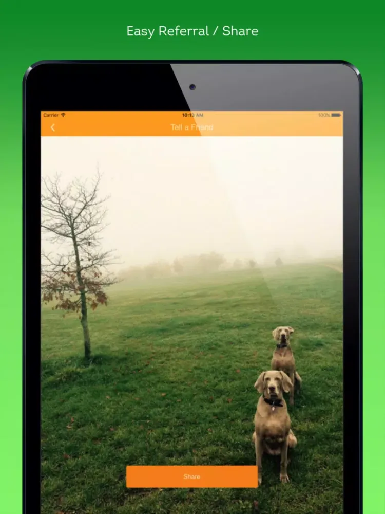 تصاویر Paradise Pets & Homes iPad 