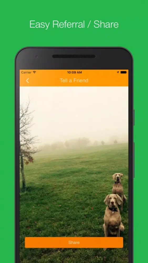 تصاویر Paradise Pets & Homes
