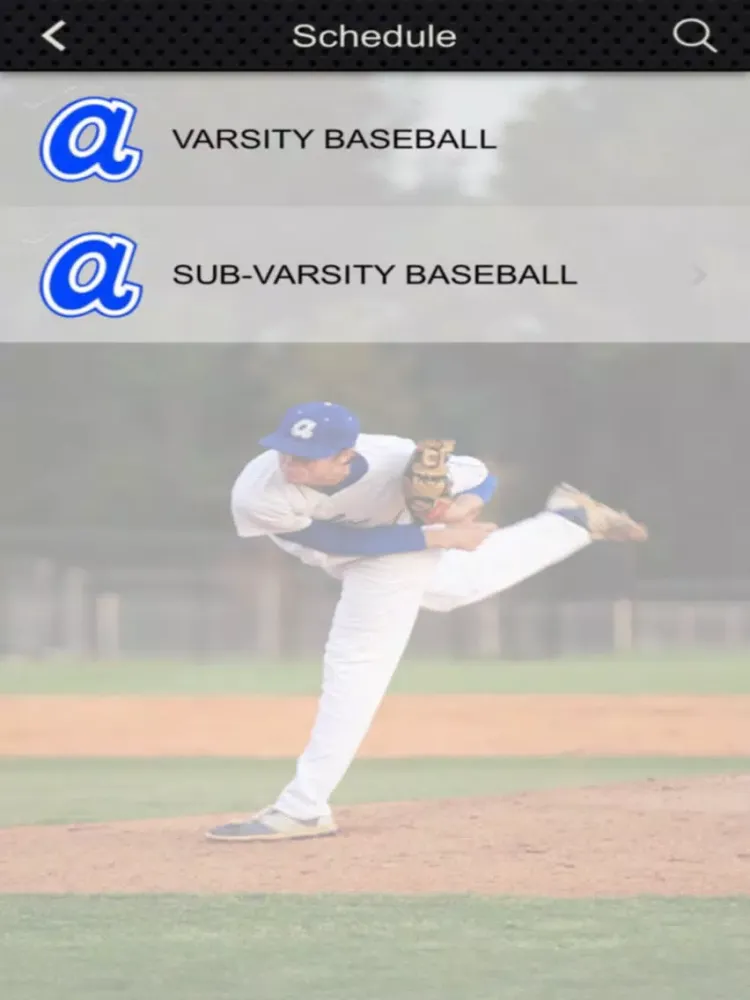ภาพหน้าจอของ Airport Eagles Baseball iPad 