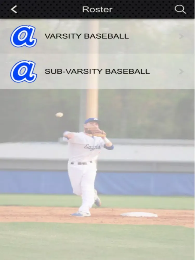 ภาพหน้าจอของ Airport Eagles Baseball iPad 
