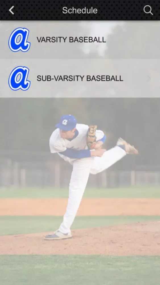 ภาพหน้าจอของ Airport Eagles Baseball