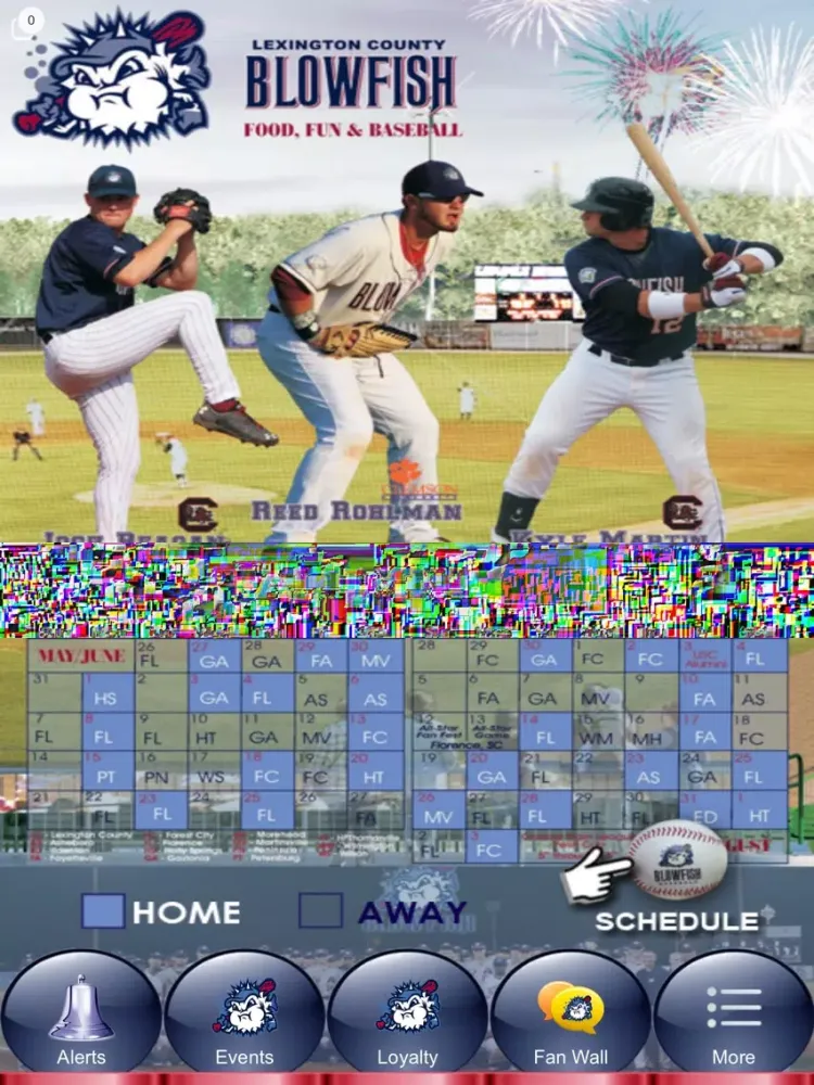 Blowfish Baseball Lexington SC iPad 应用截图
