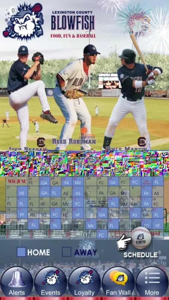 Blowfish Baseball Lexington SC应用截图