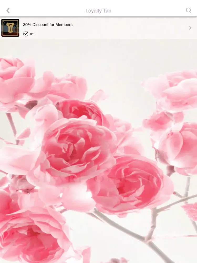 صور kabloom101 iPad 