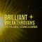 BrilliantBizBook