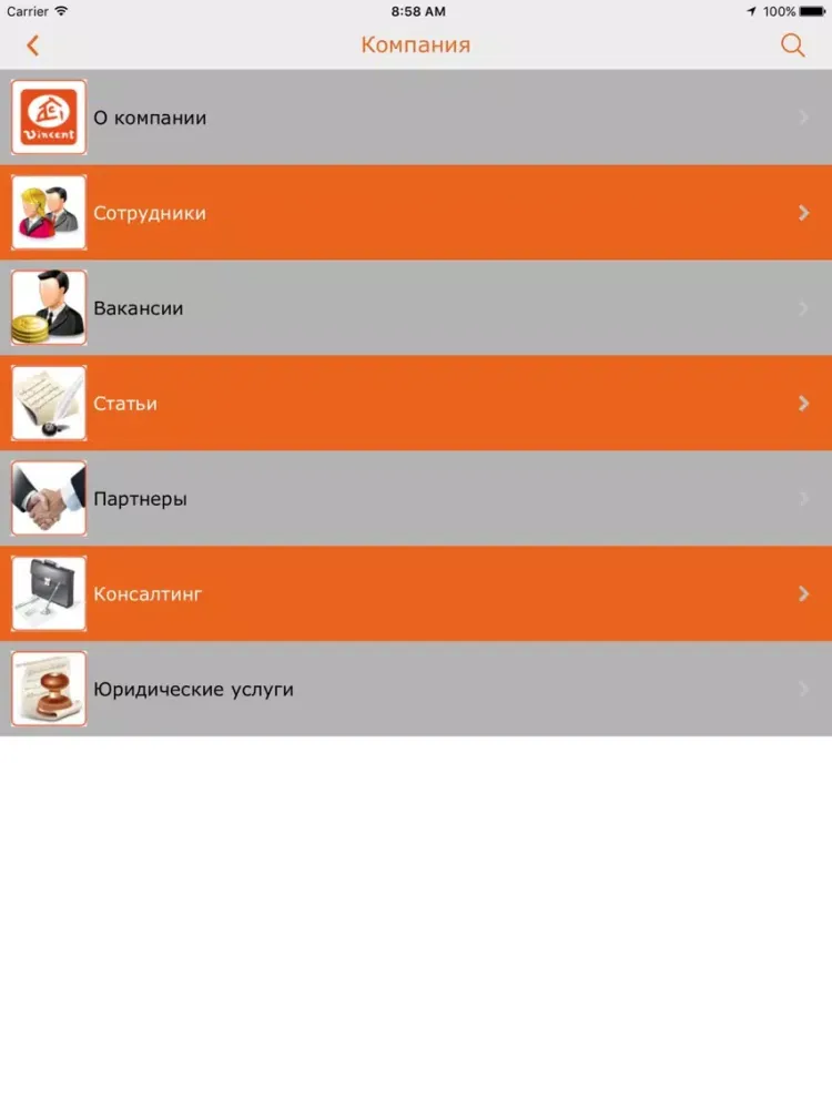 Винсент Недвижимость г. Сочи iPad  Screenshots