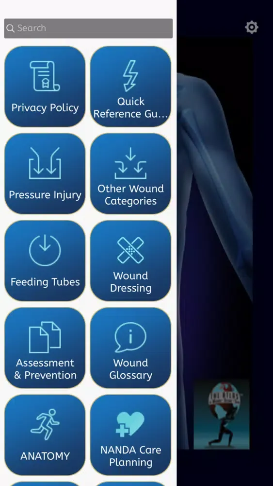 Ảnh chụp màn hình của The Wound Atlas Pro
