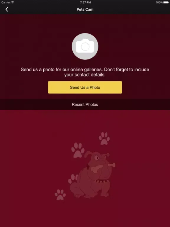 Tangkapan skrin Pet Foods Delivered iPad 