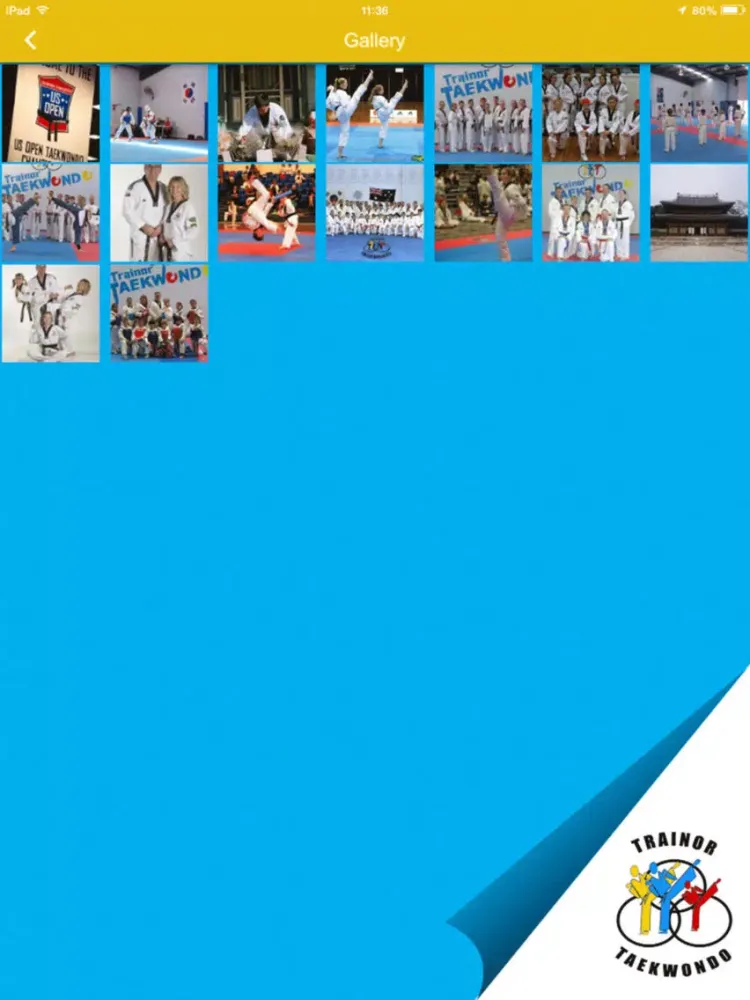Trainor Taekwondo iPad  Screenshots