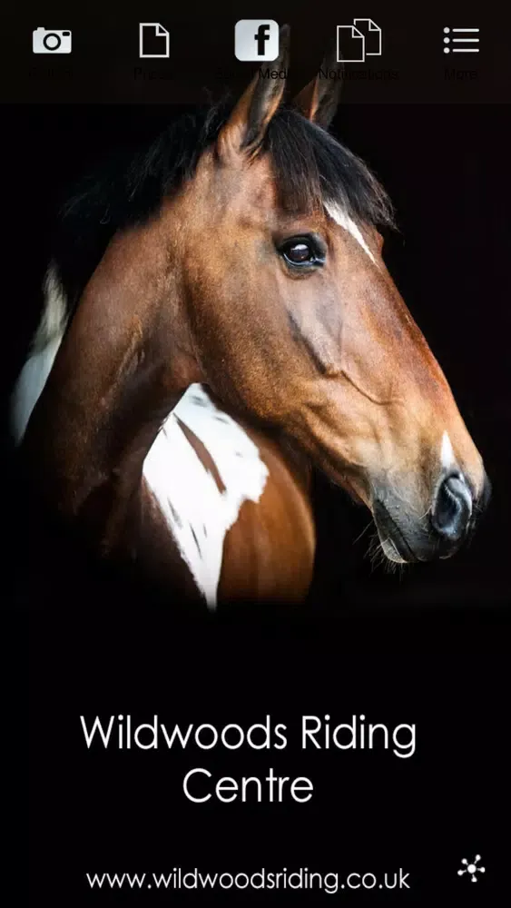 Скриншоты Wildwoods Riding Centre