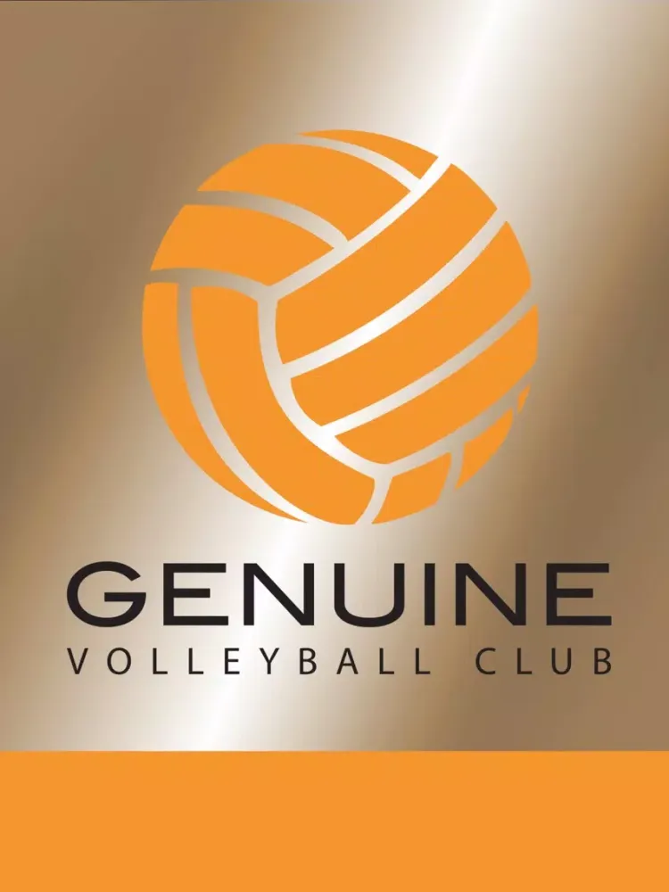 Скриншоты Genuine Volleyball Club iPad 