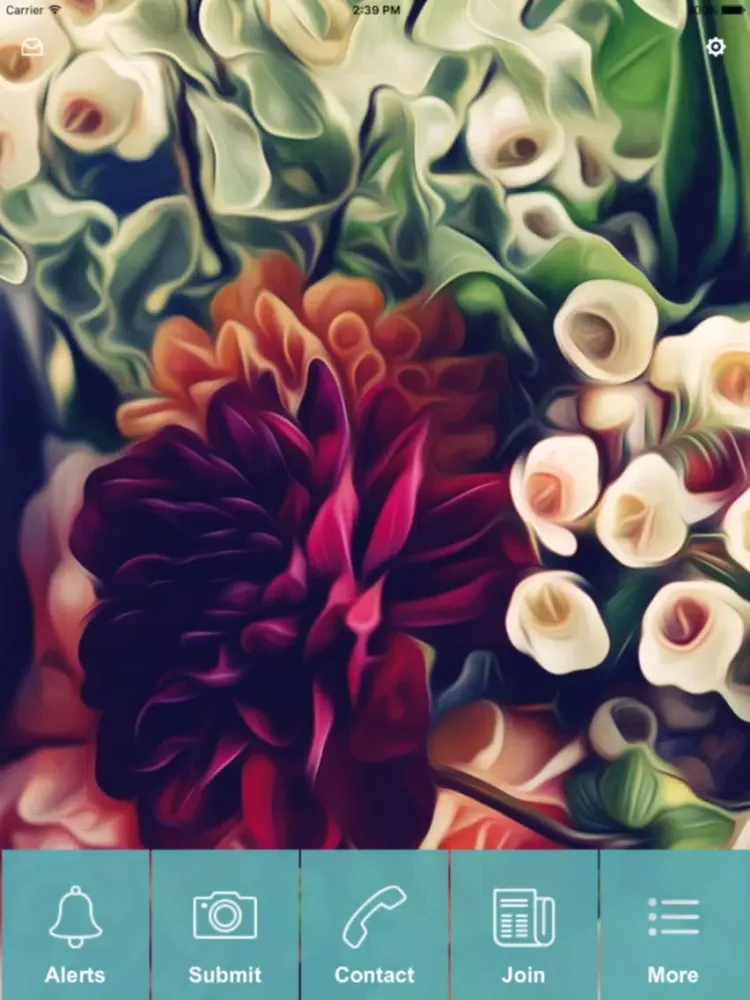 Grace Church North Brunswick iPad  스크린샷