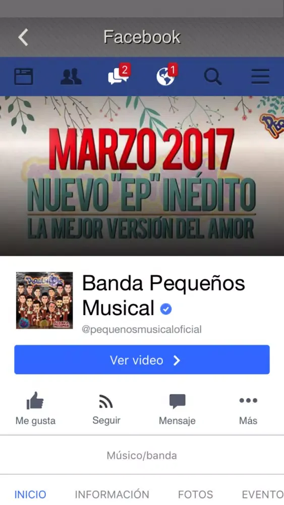 Pequeños Musical应用截图