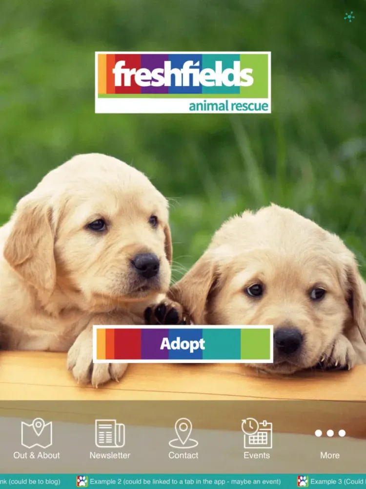 Tangkapan layar Freshfields Animal Rescue iPad 