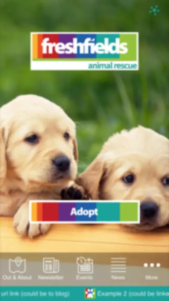 Tangkapan layar Freshfields Animal Rescue