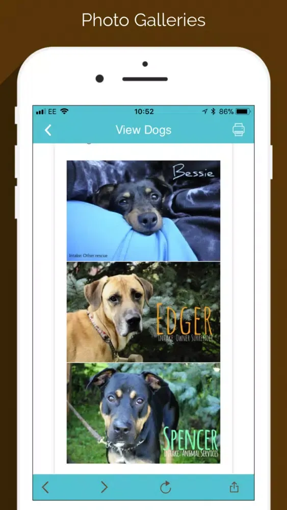 Hamilton/Burlington SPCA স্ক্রিনশট