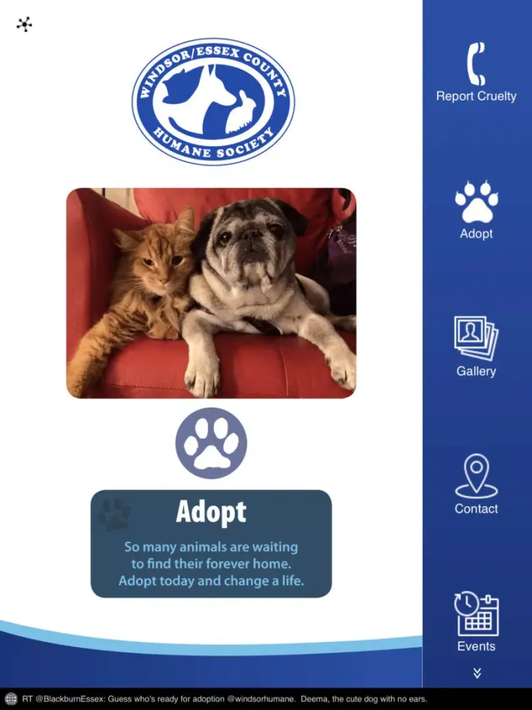 Windsor/Essex Humane Society iPad  스크린샷