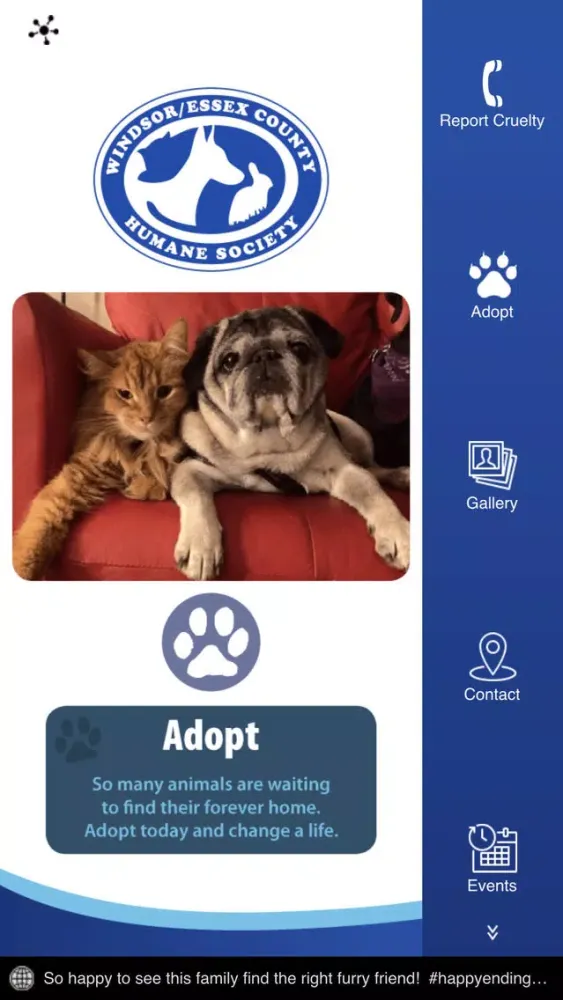Windsor/Essex Humane Society 스크린샷