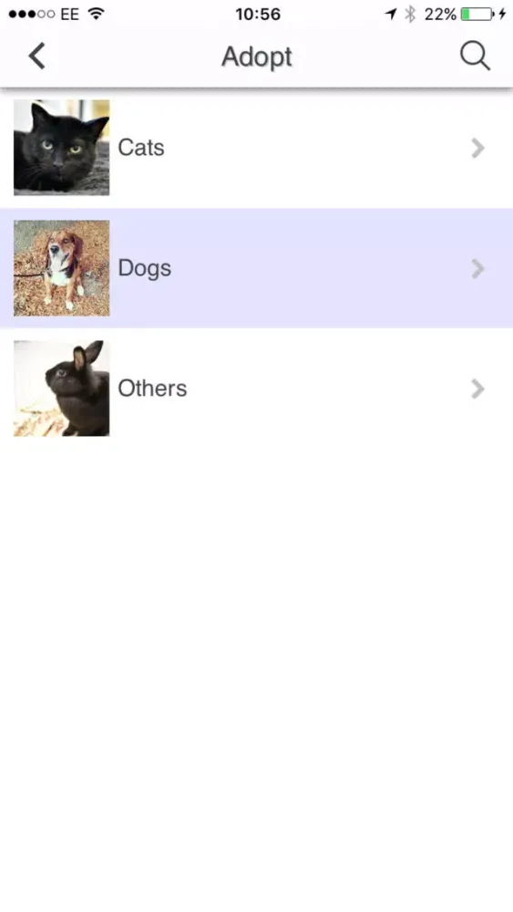 Windsor/Essex Humane Society 스크린샷