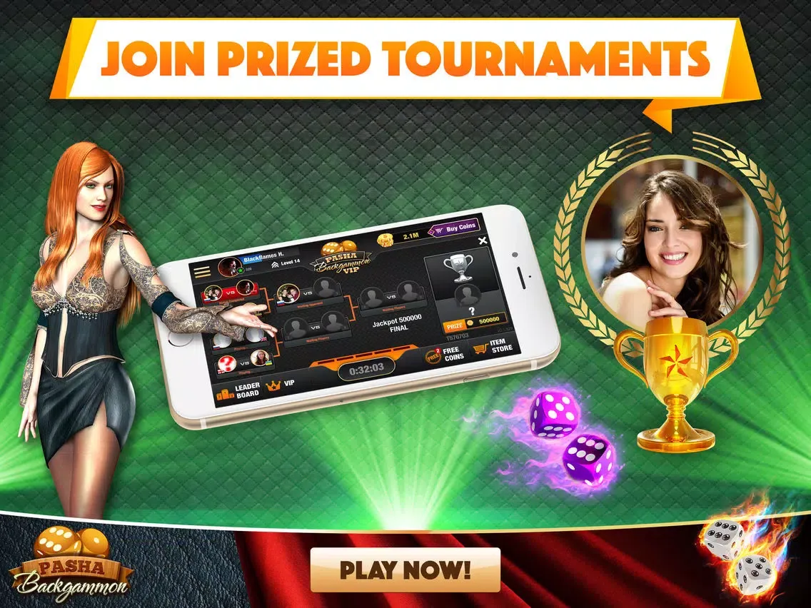 صور Backgammon Pasha:Board of King iPad 