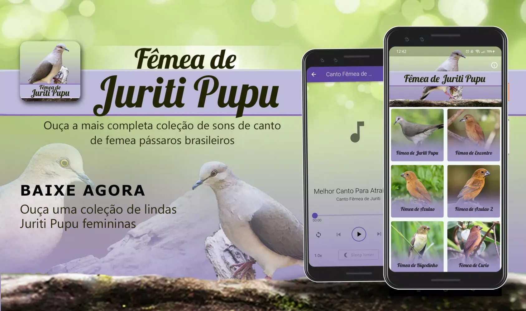 Canto Fêmea de Juriti Screenshots