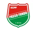 Esporte Clube Passo Fundo