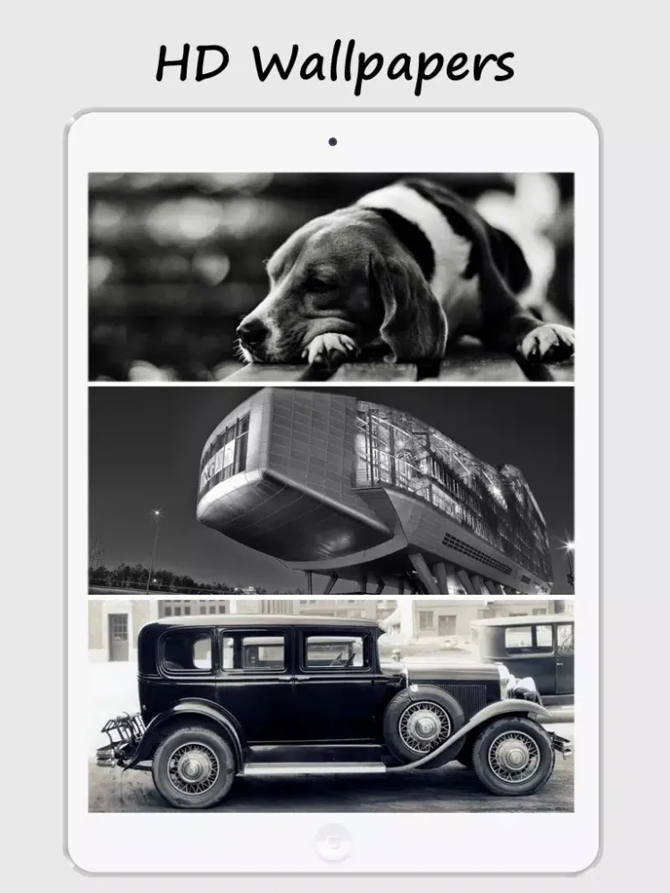 Ảnh chụp màn hình của Black & White Wallpapers - Beautiful Collections Of Black And White Wallpapers iPad 