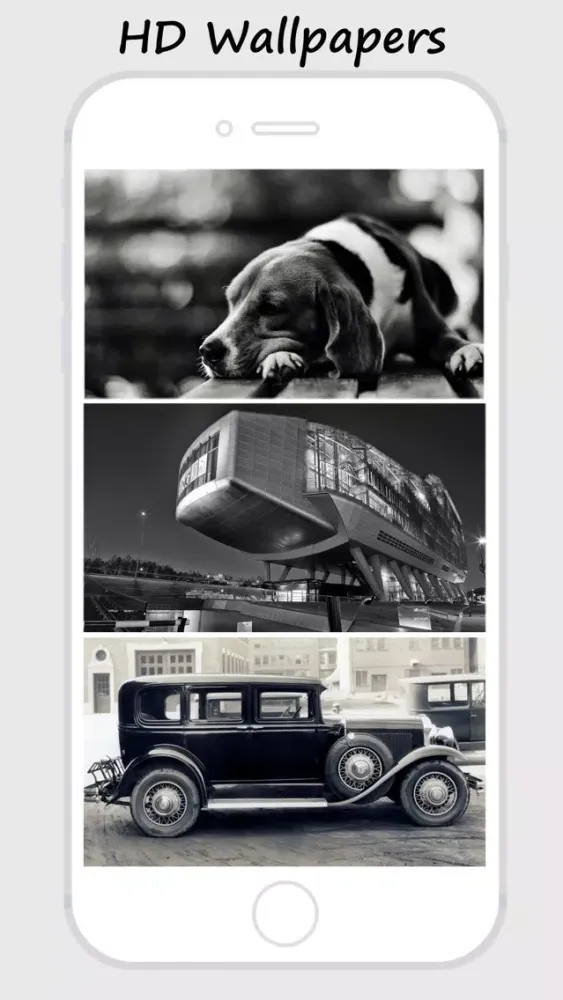 Ảnh chụp màn hình của Black & White Wallpapers - Beautiful Collections Of Black And White Wallpapers
