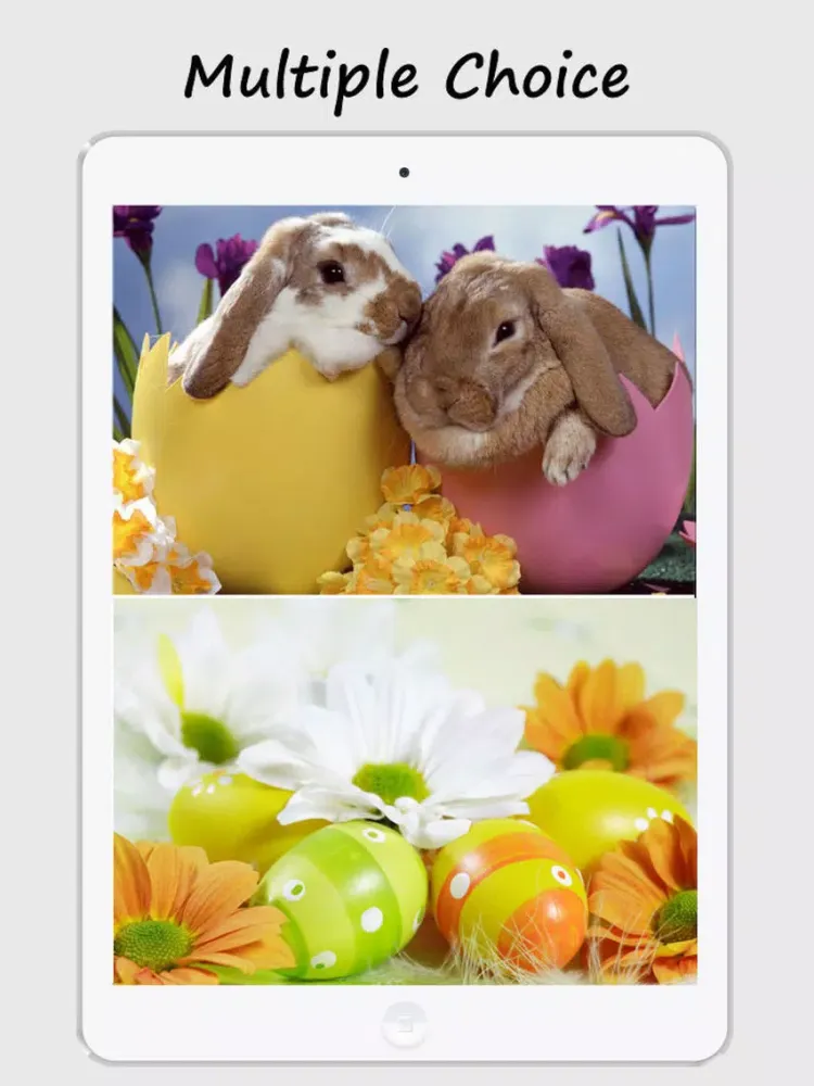 Easter Wallpapers and Backgrounds iPad  Screenshots
