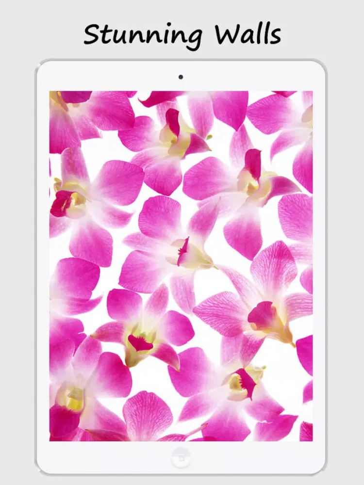 Floral Print Wallpapers iPad Screenshots