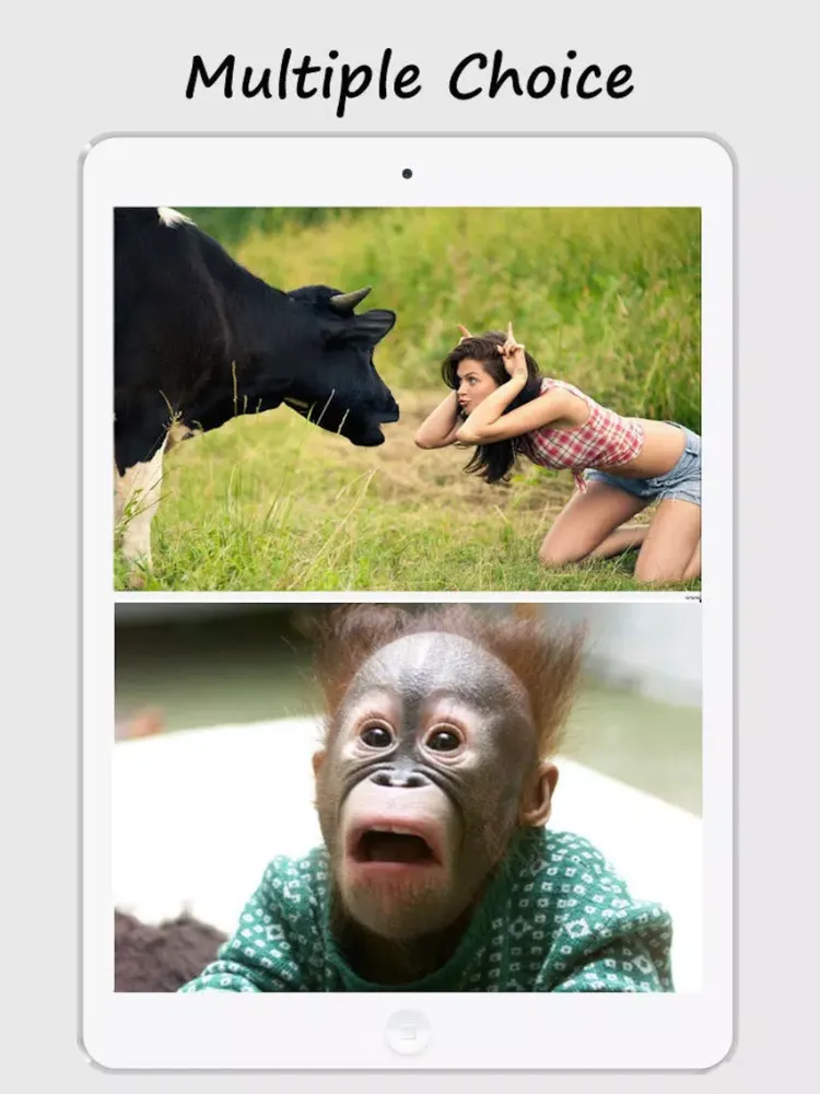 تصاویر Crazy Unbelievably Illusional Funny Wallpapers iPad 