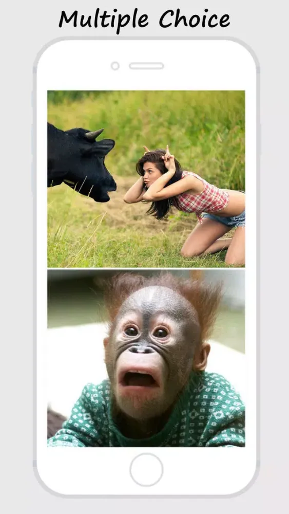 تصاویر Crazy Unbelievably Illusional Funny Wallpapers