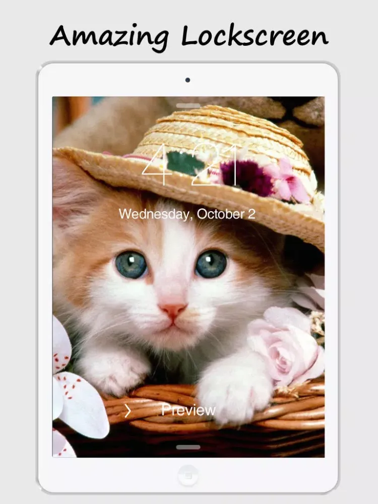 Kitty Wallpapers and Backgrounds iPad  স্ক্রিনশট