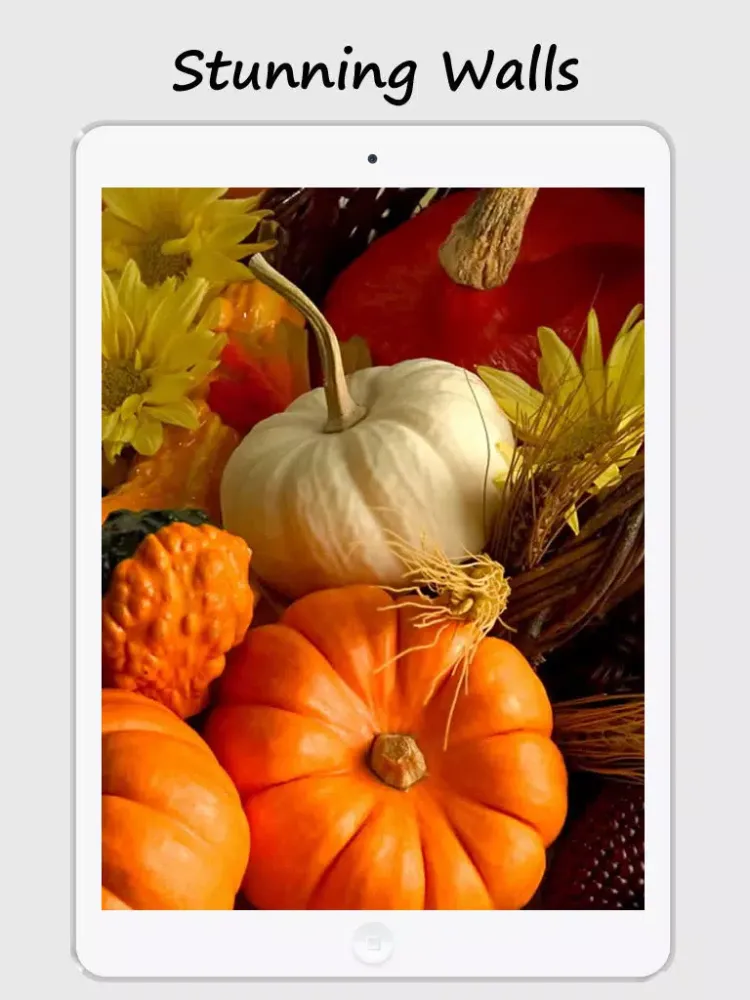 Thanks Giving Greetings 2015 iPad 应用截图