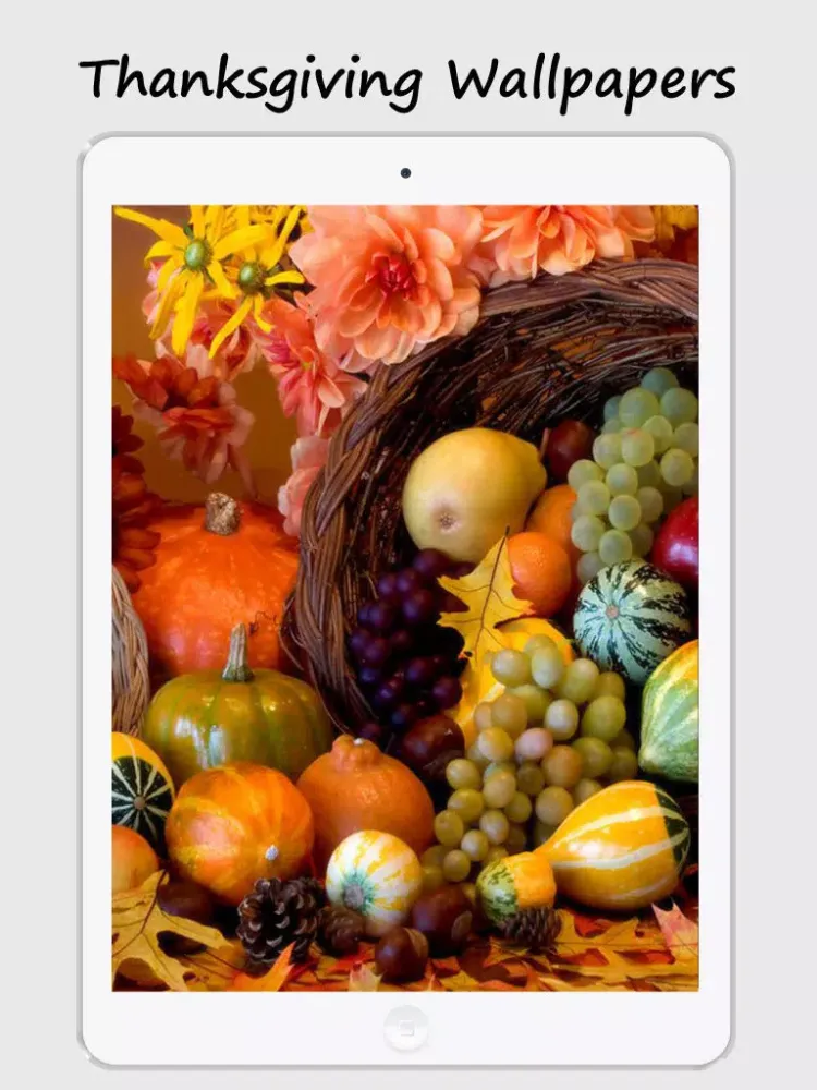 Thanks Giving Greetings 2015 iPad 应用截图