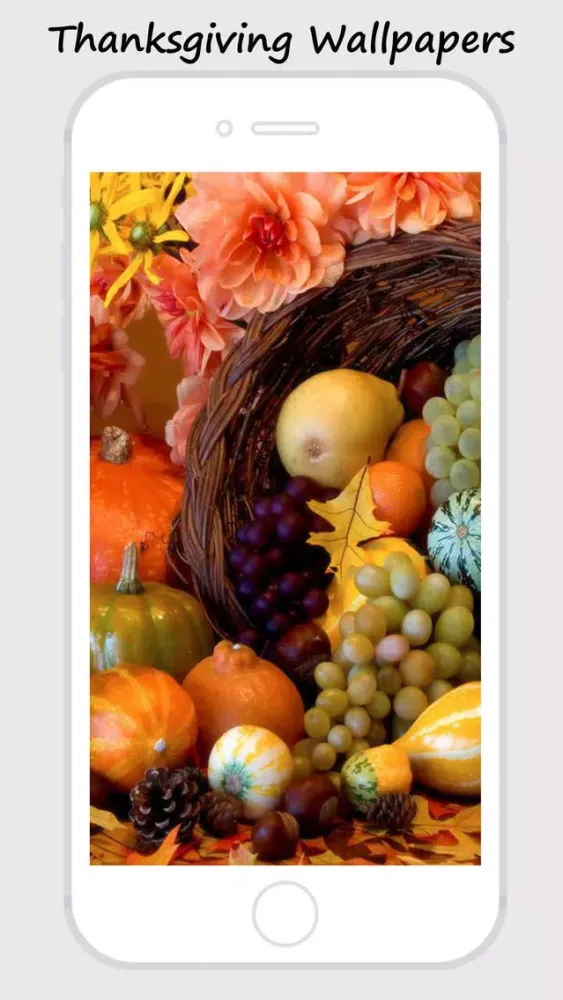 Thanks Giving Greetings 2015应用截图