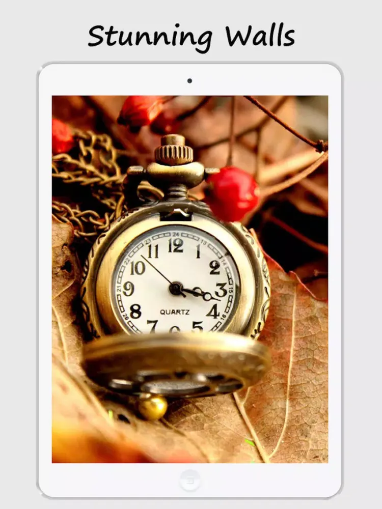 Capturas de tela do Vintage Designs - Best Of Vintage Wallpapers iPad 