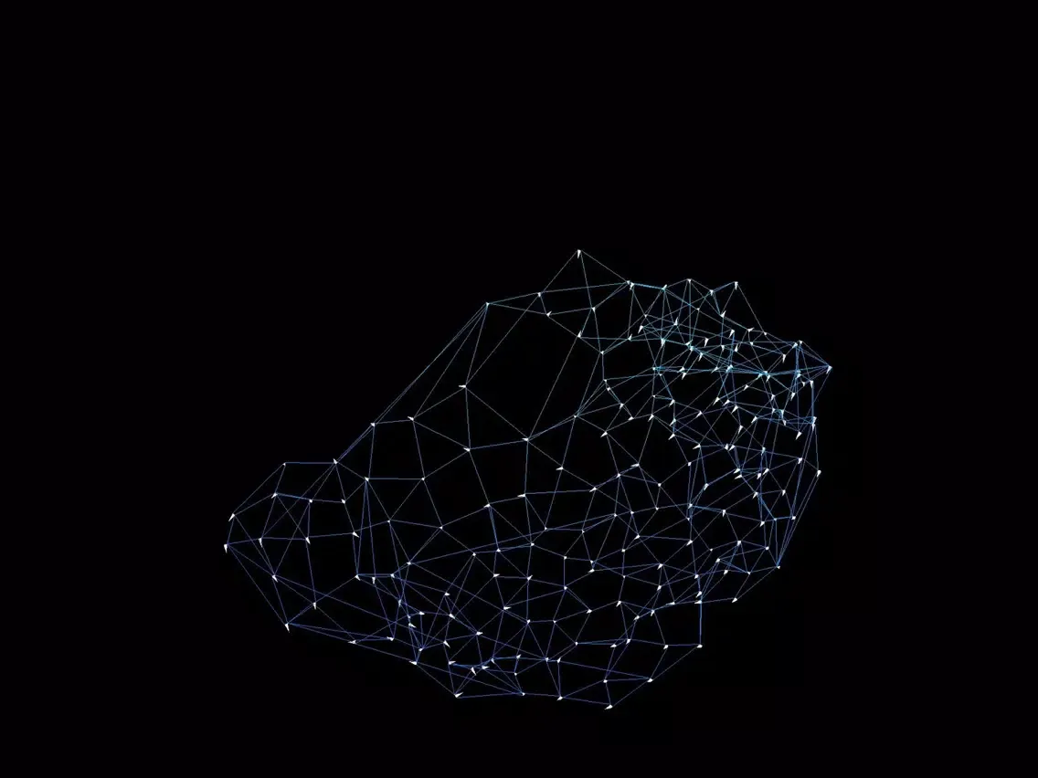 ภาพหน้าจอของ Shoal Thing iPad 
