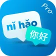 PinyinMate Pro