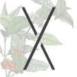 Specialty Coffee Expo 2022