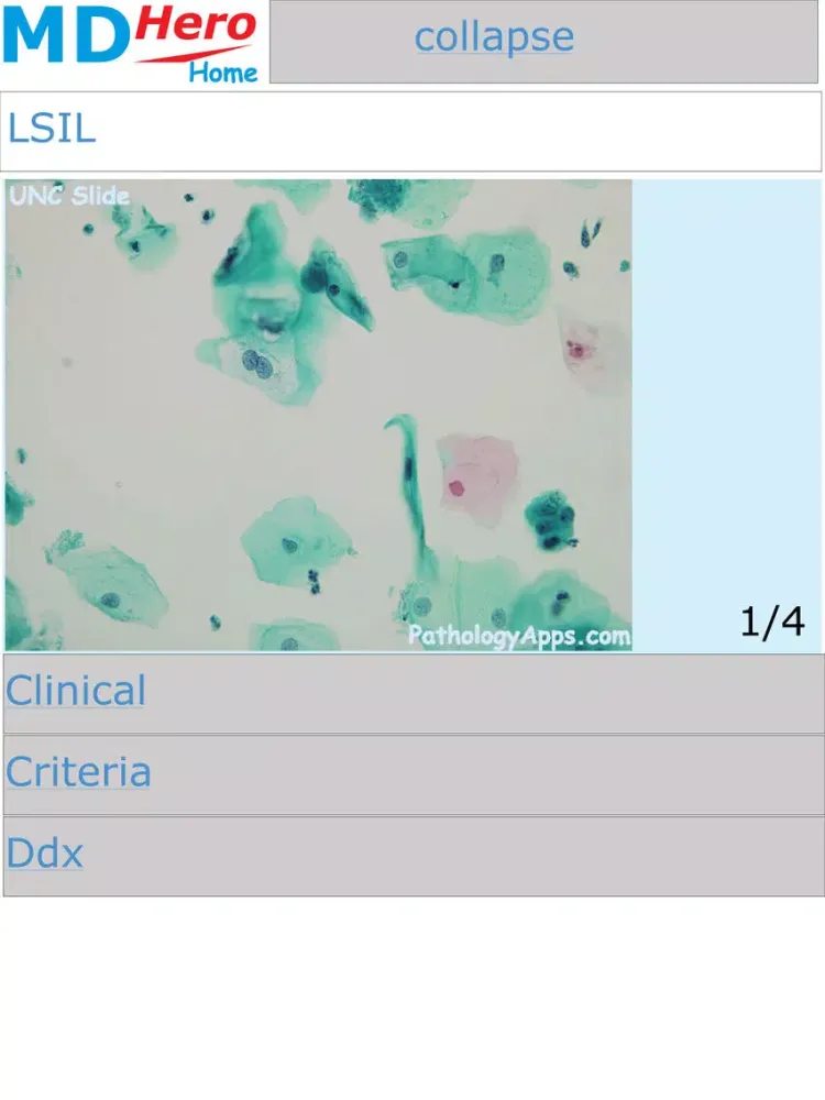 Capturas de tela do Cytology iPad 